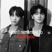 #prettyz: can’t remember to forget you ❤️🔥