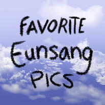 ☆★ FAVORITE #EUNSANG PICS! ~